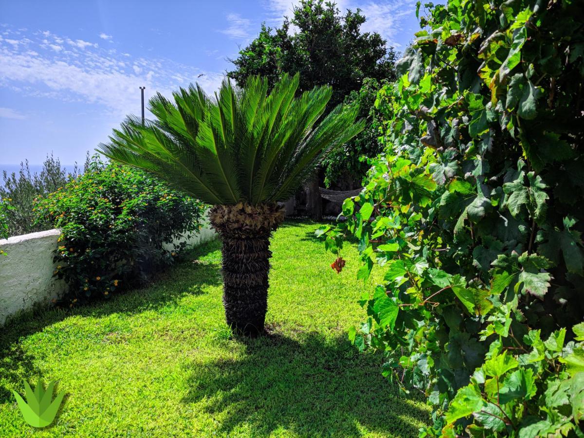 Villa Delle Agavi Vietri Εξωτερικό φωτογραφία