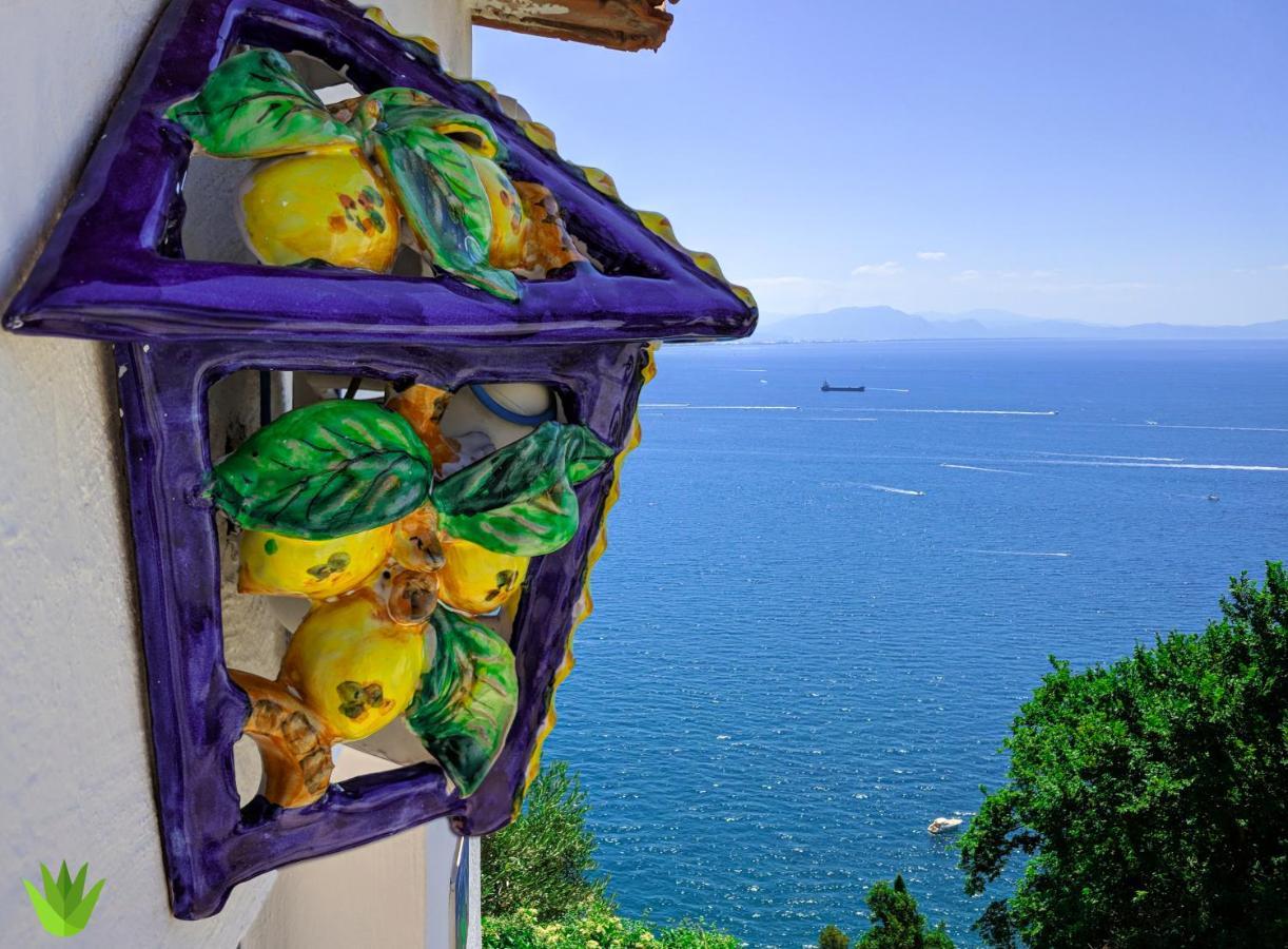 Villa Delle Agavi Vietri Εξωτερικό φωτογραφία