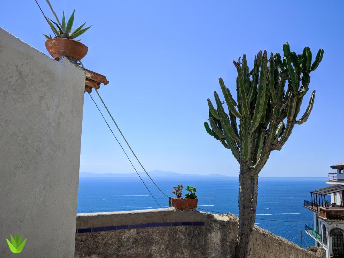 Villa Delle Agavi Vietri Εξωτερικό φωτογραφία