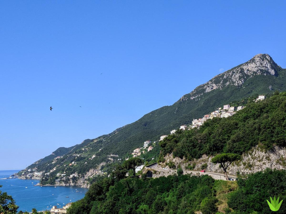 Villa Delle Agavi Vietri Εξωτερικό φωτογραφία